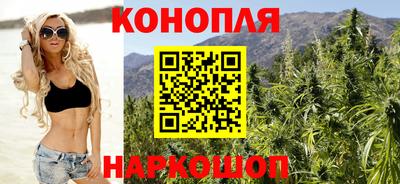 метадон Кингисепп