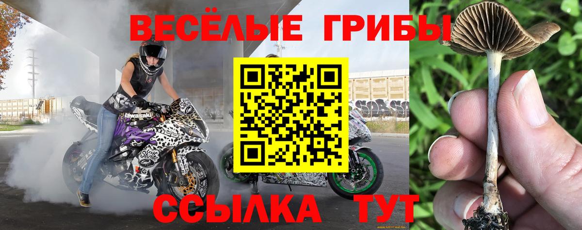 Галлюциногенные грибы мухоморы Учалы