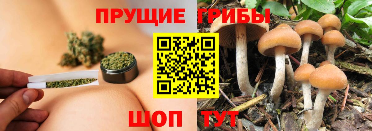 Псилоцибиновые грибы Psilocybe  Вход с VPN  сколько стоит  Учалы 